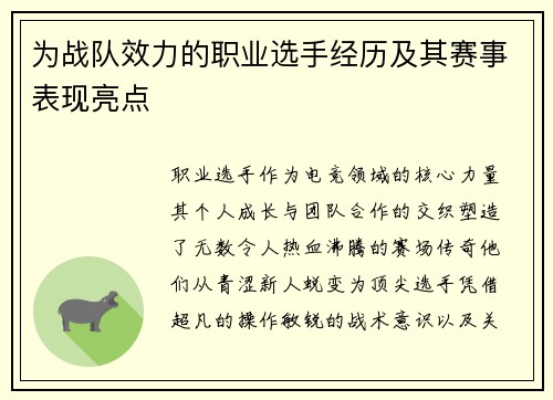 为战队效力的职业选手经历及其赛事表现亮点